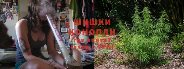 трава Аркадак