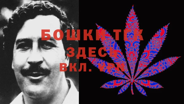 трава Аркадак